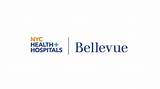 Public Health Bellevue Pictures