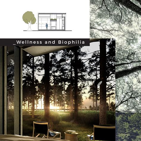 Biophilia And Architecture Why Is So Important