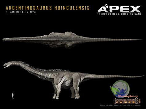 The main difference between brachiosaurus and brontosaurus is that the brachiosaurus is a genus of dinosaur and. مقایسه اندازه انسان با بزرگترین دایناسور جهان | طرفداری