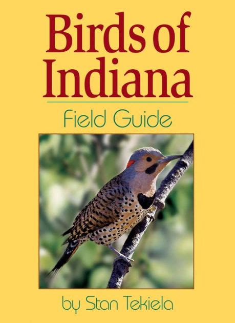 Birds Of Indiana Field Guide By Stan Tekiela Paperback