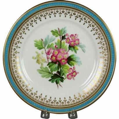 Plate Painted Porcelain Alcock
