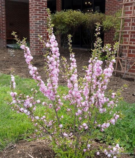 Maybe you would like to learn more about one of these? Pin on Bible Trees