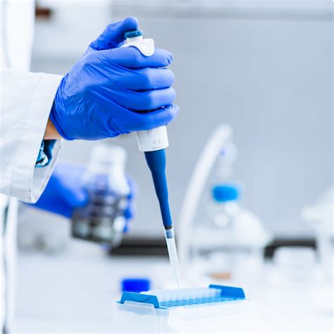 What is Food Specific IgG - Food Intolerance Test | YorkTest