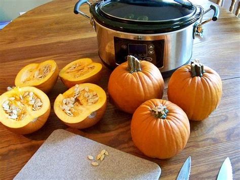 My Crock Pot And Oven Pumpkin Cooking Experiment Money Saving Mom