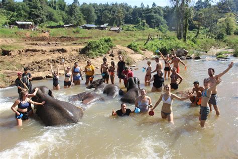 Dove Vedere Gli Elefanti In Thailandia In Modo Etico E Sostenibile