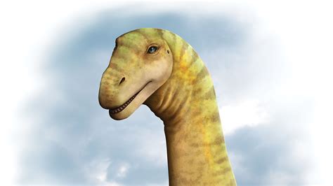 New Species Of Sauropod Dinosaur Discovered