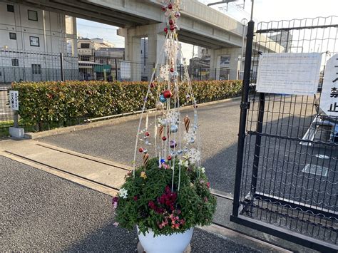【豊中市】花とみどりの相談所。12月の講習会は「クリスマスを ...