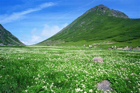 Find and follow posts tagged 乗鞍 on tumblr. 乗鞍岳 の絶景｜ZEKKEI Japan