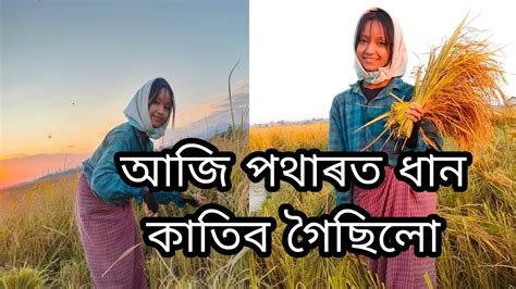 গাঁৱলীয়া ছোৱালী মই খেতি আমাৰ প্ৰাণ আজি পথাৰত ধান কাতিব গৈছিলো