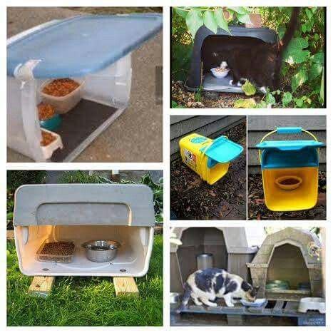 When cold weather hits, feral cats suffer—and unfortunately there are just too many feral cats 5. DIY colony cat feeder | Outdoor cat shelter, Outdoor cats ...