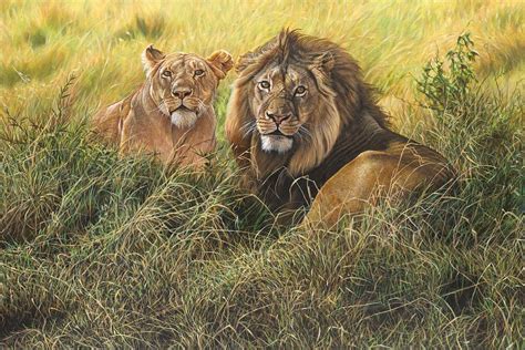 Male And Female Lion Painting By Alan M Hunt Pixels