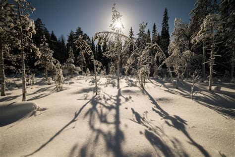 Freezing Moonlit Night In Lapland Finland 122016 Oc 2700x1802 Ig