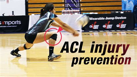 Exercise Physiologist Don Moxley On Acl Injury Prevention The Art Of