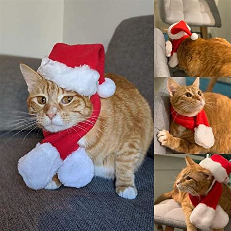 Petleso Cat Santa Hat With Scarf Christmas Hats For Cats Pet Santa Hat