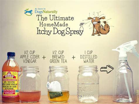 Homemade Itchy Dog Spray Natural Dog Remedies Pet Remedies Itching