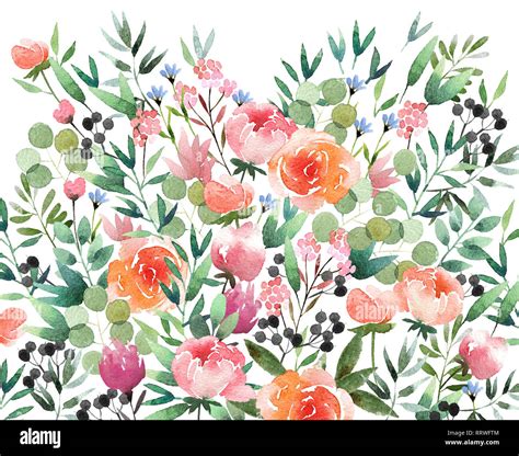 Beautiful Watercolor Flower Background Isolated On White Background