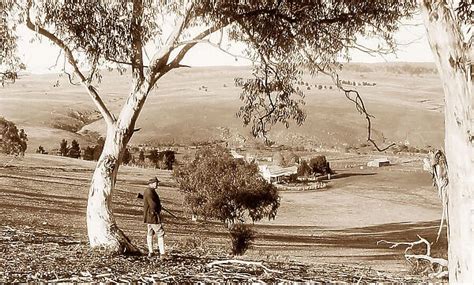 Settlers Homestead In Monaro Australia New South Wales Nsw