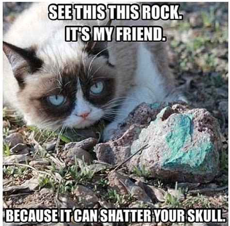 Grumpy Cat Quotes And Sayings And Cute And Funny Pinterest