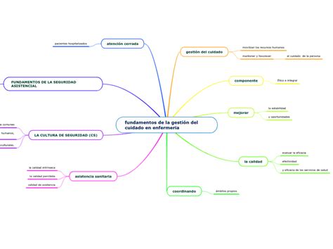 fundamentos de la gestión del cuidado en e Mind Map