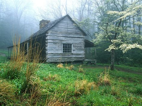 Gray Wooden House Cabin Forest Hd Wallpaper Wallpaper Flare