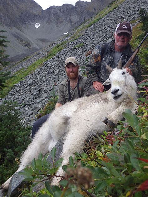 Bc Mountain Goat Hunts In Bc Canada Guided Goat Hunting With Circle M