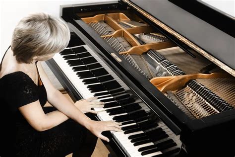 Piano Player Pianist Woman Playing Grand Piano Stock Image Everypixel