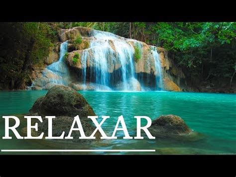 Música relaxante com flauta indígena e sons da natureza, com riacho, pássaros, sons da floresta e água, música zen para meditar e dormir. Sons relaxantes - Cachoeira - Sons da natureza | Doovi