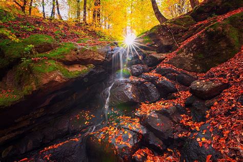 Rocky Sunlit Stream In Autumn Fall Forests Leaves Moss Sunshine