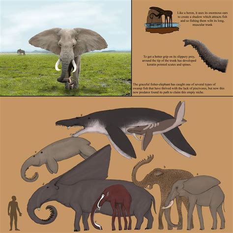 Category:Elephants | Speculative Evolution Wiki | Fandom