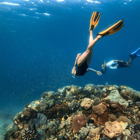 The Top 10 Best Snorkeling Spots In The Us Desertdivers