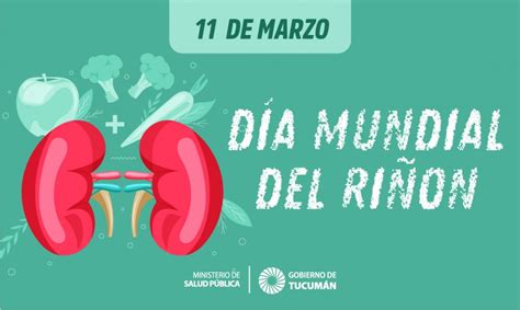 Día Mundial Del Riñón Ministerio De Salud Pública De Tucumán