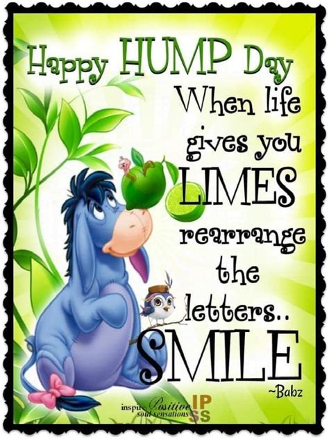 Happy Hump Day🤗🐪 💚 Hump Day Quotes Happy Wednesday Quotes Friday