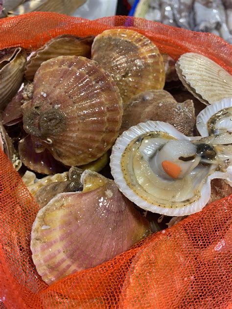 Queen Scallops Buy Online Free Nationwide Delivery