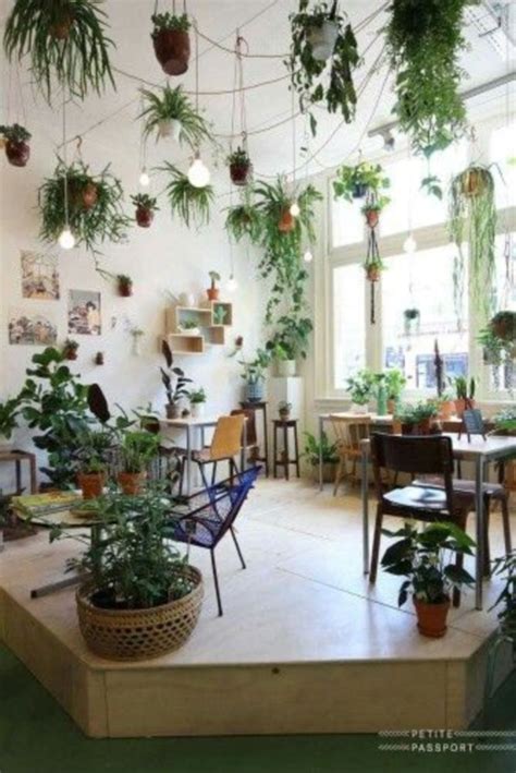 Indoor plants are those that can live with minimal or no sunlight. 16 Inspiring Indoor Plant Display and Decoration Ideas ...