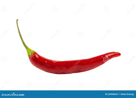 Red Chilli Stock Photo Image 56908442