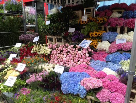 Columbia Road Flower Market Goop