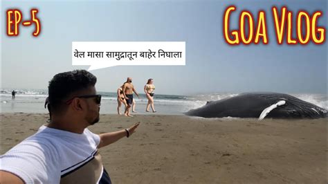 Famous Russian Beach In Goa Mandrem Beach Goa North Goa Goa Vlog Ep 5 Youtube