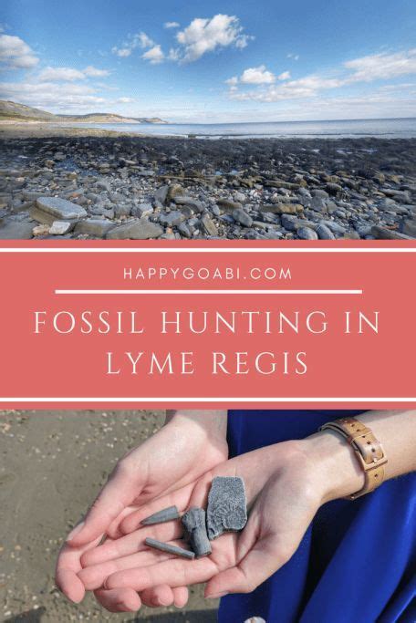 Fossil Hunting In Lyme Regis A Trip To The Jurassic Coast Lyme Regis
