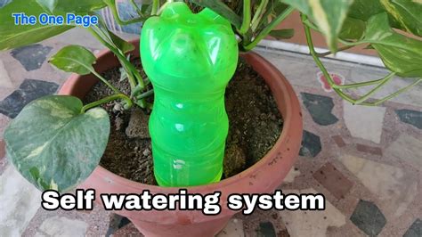 3 Self Watering System For Plants Drip Irrigation System Bottle