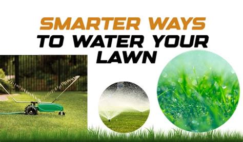 Tips For Watering Your Lawn The Best Way Devpost