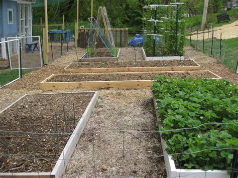 4 plants across x 4 plants across = 16 plants! Red Bucket Farm: Raised Garden Beds