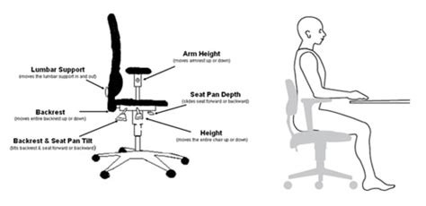 Learn How To Adjust Your Chair Covetrus Ergmaps