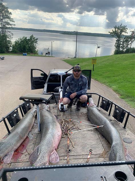 East Texans Catch Three Large Alligator Gar At Sam Rayburn Reservoir