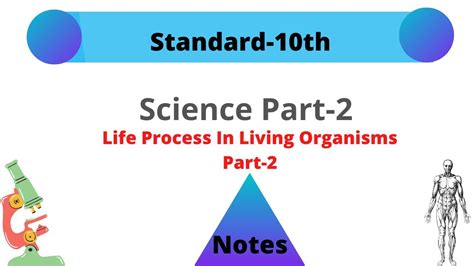 Life Processes In Living Organisms Part 2 Notes Science 2 Std