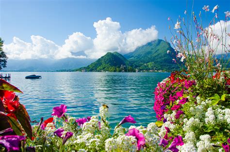 You can find the best and most beautiful hd nature wallpapers of pexels on this page. beautiful hd wallpapers for desktop | Beautiful nature ...