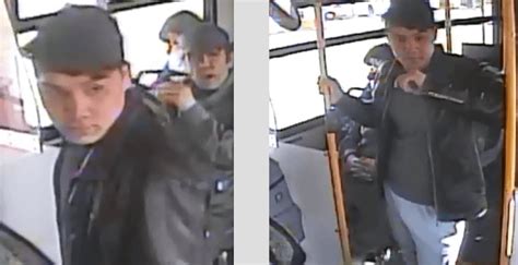 Police Looking For Suspect In Sexual Assault On Calgary Bus News