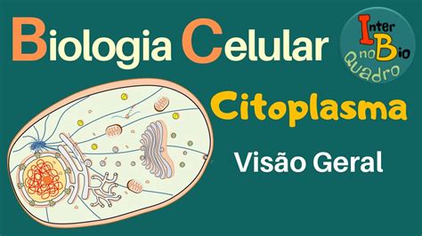 Biologia Celular Citoplasma Visão Geral Aula 1 Youtube