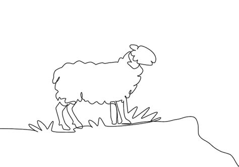 Sheep Line Drawing Vectors And Illustrations For Free Download Freepik