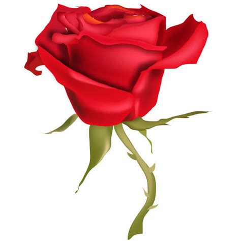Red Rose Flower Vector Art