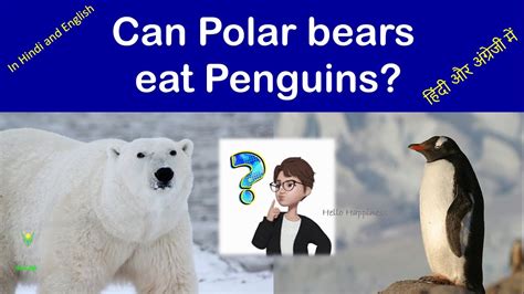 Do Polar Bears Eat Penguins Polar Bears Penguin What Do Polar
